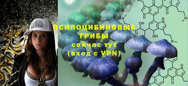 крисы Алексеевка