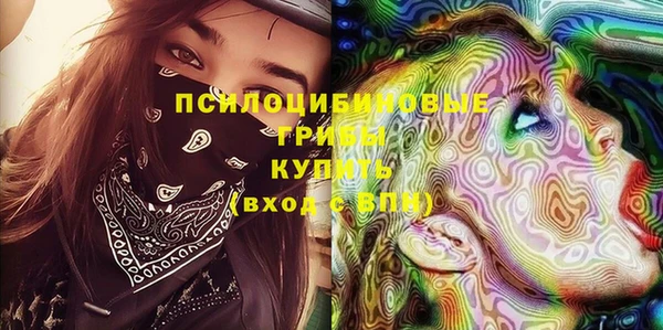 a pvp Алзамай