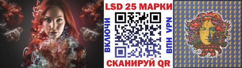 хочу наркоту  Грязовец  Марки N-bome 1,8мг 